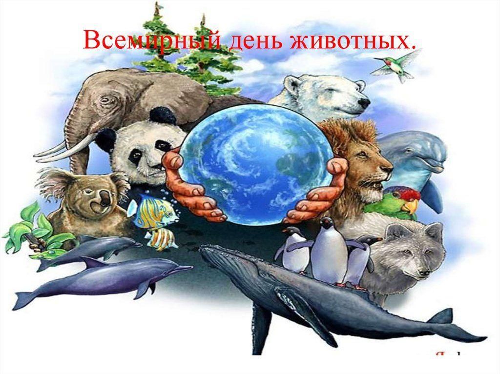 560c3152-b2a5-5a7d-b4c7-acfde86ab4f3.jpg